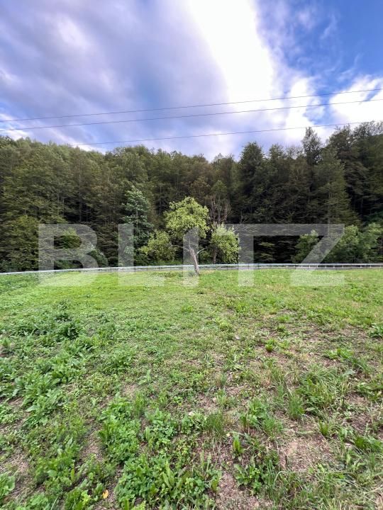 Casa de vânzare 4 camere Intregalde - 174762CV | BLITZ Alba Iulia | Poza5