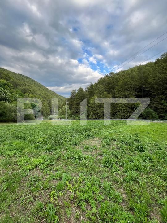 Casa de vânzare 4 camere Intregalde - 174762CV | BLITZ Alba Iulia | Poza4