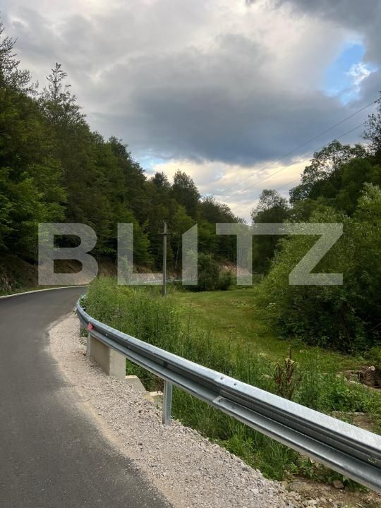 Casa de vânzare 4 camere Intregalde - 174762CV | BLITZ Alba Iulia | Poza7