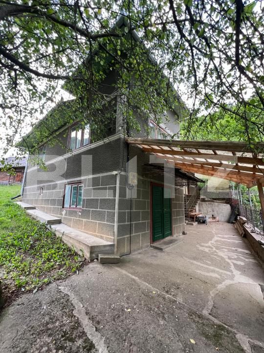 Casa de vânzare 4 camere Intregalde - 174762CV | BLITZ Alba Iulia | Poza1