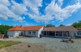 Casa individuala 130 mp 3 dormitoare 1 living 2 bai terasa 2000mp teren Limba 