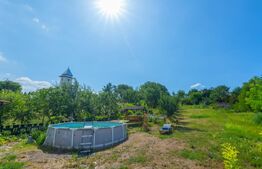 Casa individuala 130 mp 3 dormitoare 1 living 2 bai terasa 2000mp teren Limba 