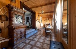 Casa individuala 130 mp 3 dormitoare 1 living 2 bai terasa 2000mp teren Limba 