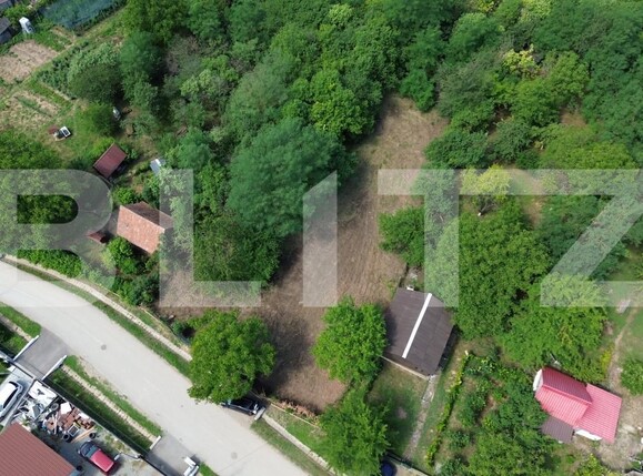 Teren de vânzare Drâmbar - 175094TV | BLITZ Alba Iulia | Poza6