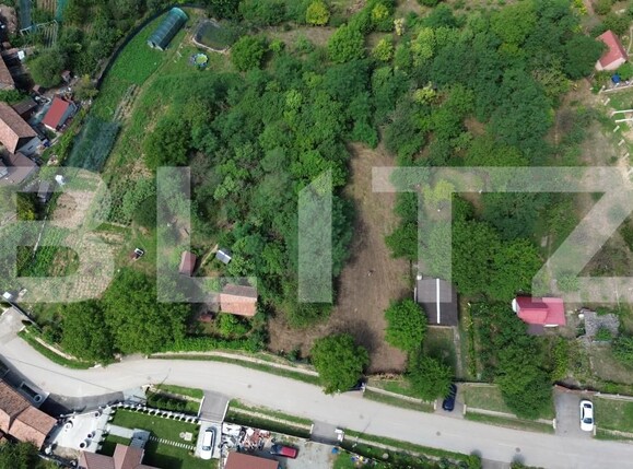Teren de vânzare Drâmbar - 175094TV | BLITZ Alba Iulia | Poza3