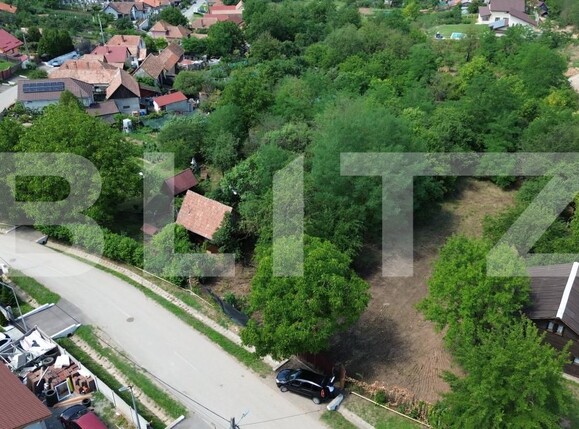 Teren de vânzare Drâmbar - 175094TV | BLITZ Alba Iulia | Poza2