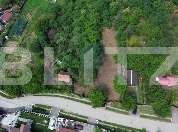 Teren de vânzare Drâmbar - 175094TV | BLITZ Alba Iulia | Poza9