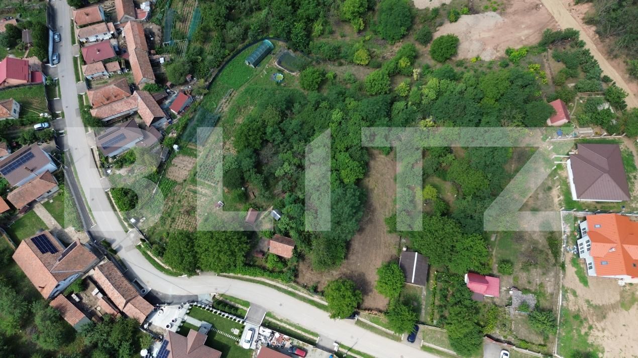 Teren de vânzare Drâmbar - 175094TV | BLITZ Alba Iulia | Poza5