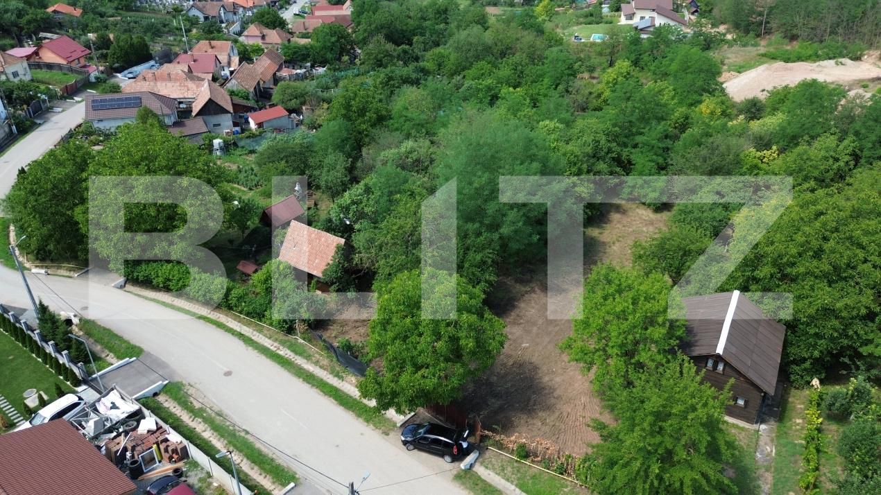 Teren de vânzare Drâmbar - 175094TV | BLITZ Alba Iulia | Poza4