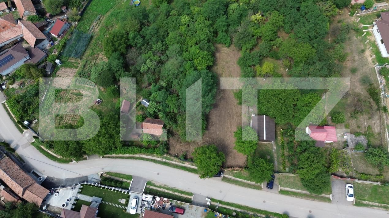 Teren de vânzare Drâmbar - 175094TV | BLITZ Alba Iulia | Poza9