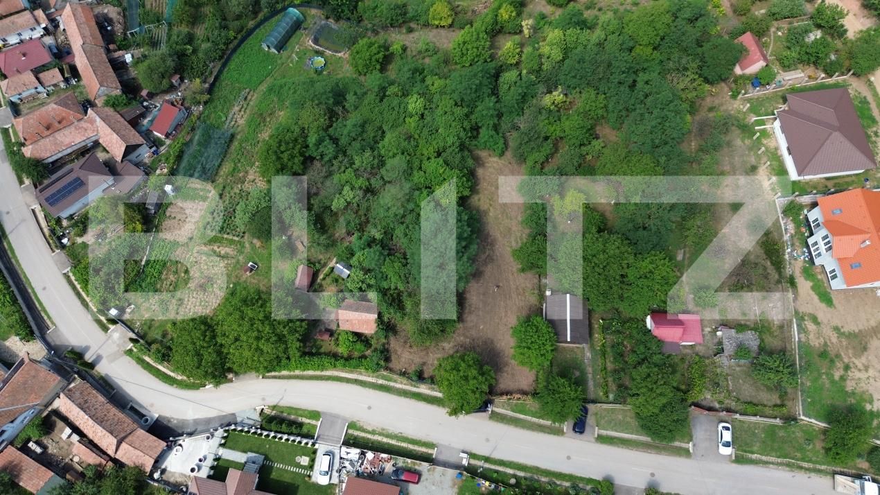 Teren de vânzare Drâmbar - 175094TV | BLITZ Alba Iulia | Poza3