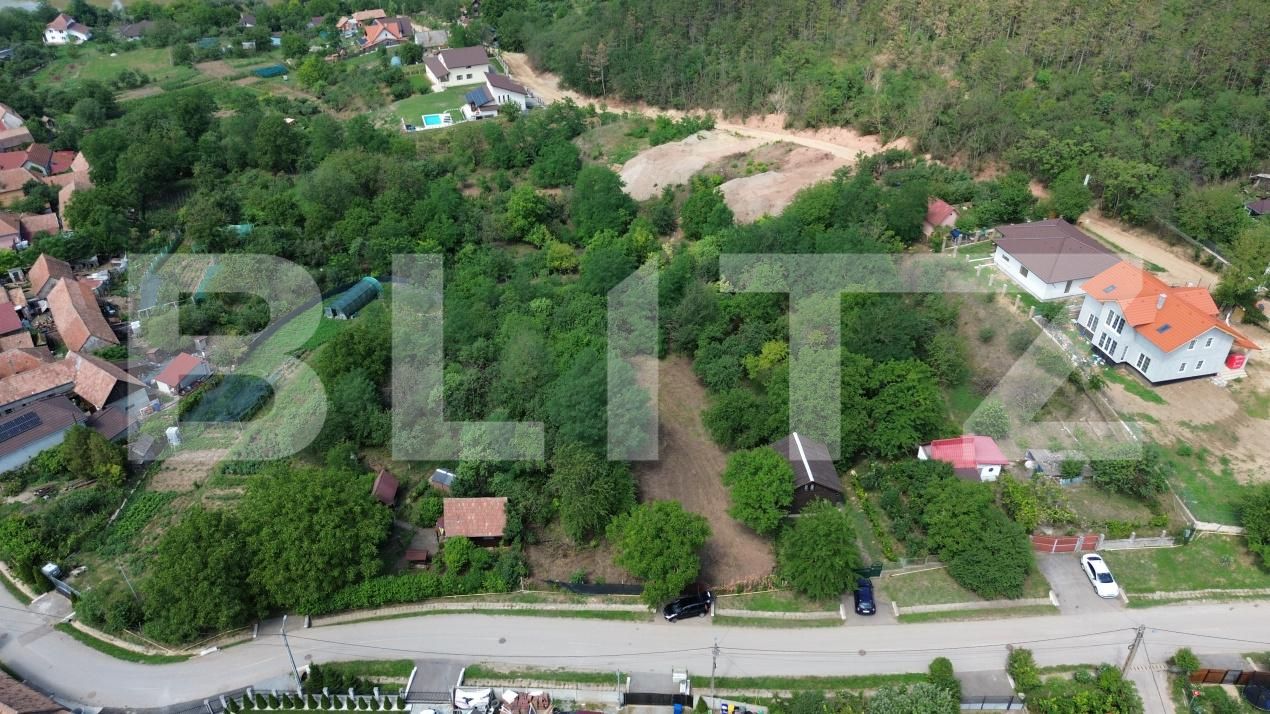 Teren de vânzare Drâmbar - 175094TV | BLITZ Alba Iulia | Poza7