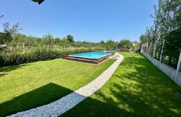 Casă individuală pe un singur nivel,1500 mp teren,piscină și anexe– Vințu de Jos