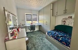 Casă individuală pe un singur nivel,1500 mp teren,piscină și anexe– Vințu de Jos