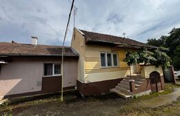 Casă cu 3 camere, 1810 mp teren, Benic