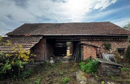 Casă cu 3 camere, 1810 mp teren, Benic