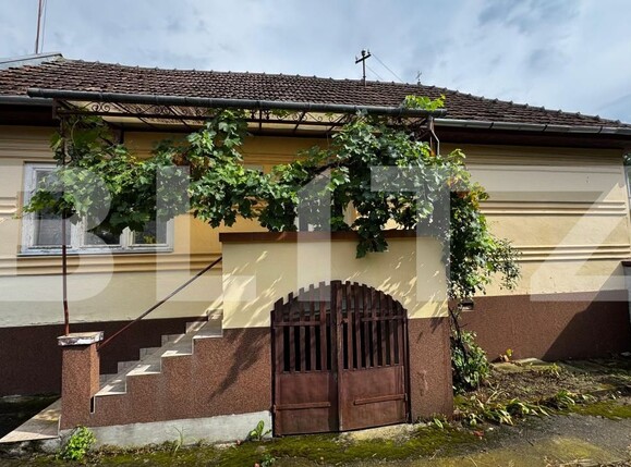 Casa de vânzare 3 camere Galda de Jos - 175245CV | BLITZ Alba Iulia | Poza5