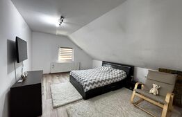 Casă individuală situată în orașul Teiuș - Alba