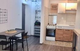 Apartament de vanzare, cu 2 camere, parter, mobilat si utilat, zona Cetate