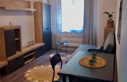 Apartament de vanzare, cu 2 camere, parter, mobilat si utilat, zona Cetate