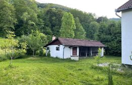 Casă deosebită în comuna Vidra, jud. Alba