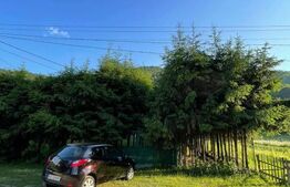 Casă deosebită în comuna Vidra, jud. Alba