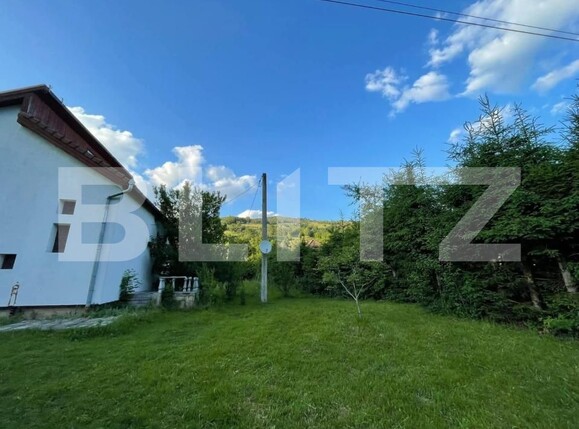 Casa de vânzare 5 camere Vidra - 175673CV | BLITZ Alba Iulia | Poza3
