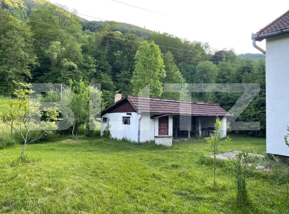 Casa de vânzare 5 camere Vidra - 175673CV | BLITZ Alba Iulia | Poza4