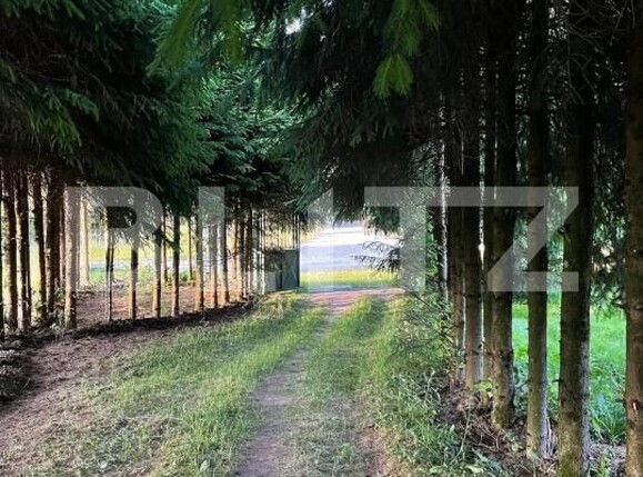 Casa de vânzare 5 camere Vidra - 175673CV | BLITZ Alba Iulia | Poza7