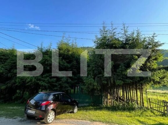 Casa de vânzare 5 camere Vidra - 175673CV | BLITZ Alba Iulia | Poza14