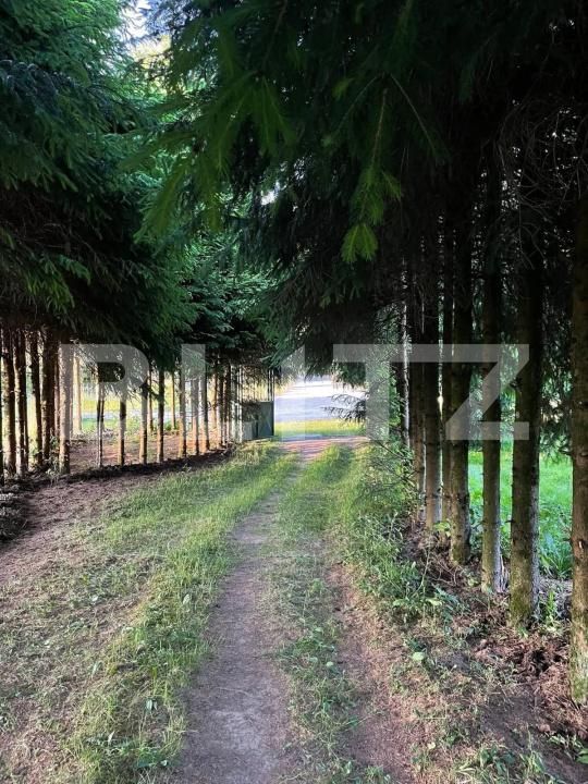 Casa de vânzare 5 camere Vidra - 175673CV | BLITZ Alba Iulia | Poza7