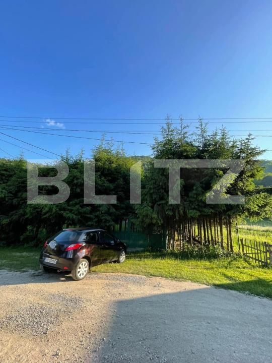 Casa de vânzare 5 camere Vidra - 175673CV | BLITZ Alba Iulia | Poza14