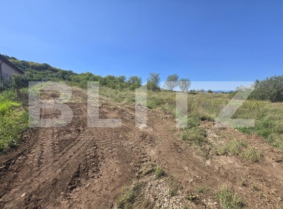 Teren de vânzare Micești - 175698TV | BLITZ Alba Iulia | Poza1