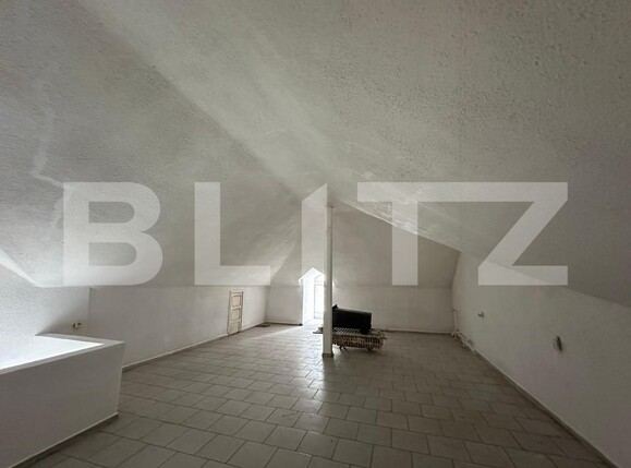 Spațiu comercial de închiriat Ultracentral - 175744SIC | BLITZ Alba Iulia | Poza3