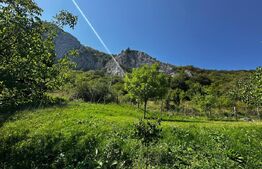 Teren deosebit de vânzare – 1800 mp, Cheile Vălișoarei – livadă de nuci