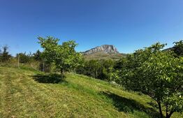 Teren deosebit de vânzare – 1800 mp, Cheile Vălișoarei – livadă de nuci