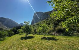 Teren deosebit de vânzare – 1800 mp, Cheile Vălișoarei – livadă de nuci