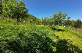 Teren deosebit de vânzare – 1800 mp, Cheile Vălișoarei – livadă de nuci