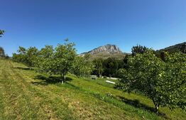 Teren deosebit de vânzare – 1800 mp, Cheile Vălișoarei – livadă de nuci