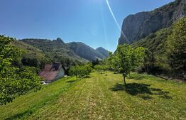 Teren deosebit de vânzare – 1800 mp, Cheile Vălișoarei – livadă de nuci