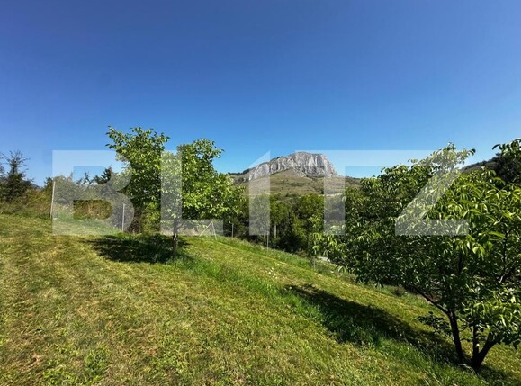 Teren de vânzare Valisoara - 175922TV | BLITZ Alba Iulia | Poza2