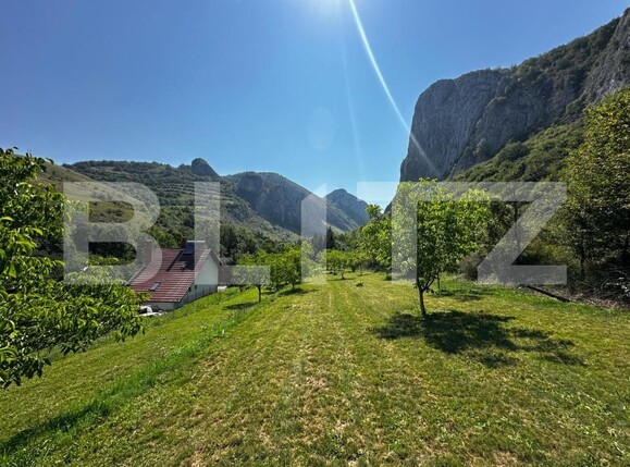 Teren de vânzare Valisoara - 175922TV | BLITZ Alba Iulia | Poza1