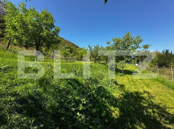 Teren de vânzare Valisoara - 175922TV | BLITZ Alba Iulia | Poza6