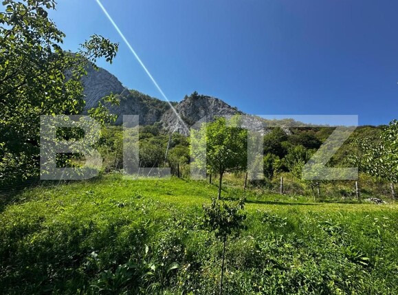 Teren de vânzare Valisoara - 175922TV | BLITZ Alba Iulia | Poza5