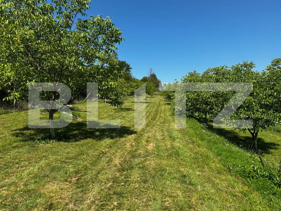 Teren de vânzare Valisoara - 175922TV | BLITZ Alba Iulia | Poza7