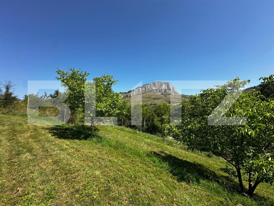 Teren de vânzare Valisoara - 175922TV | BLITZ Alba Iulia | Poza2