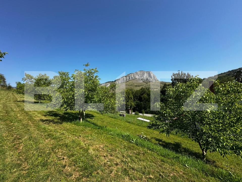 Teren de vânzare Valisoara - 175922TV | BLITZ Alba Iulia | Poza4