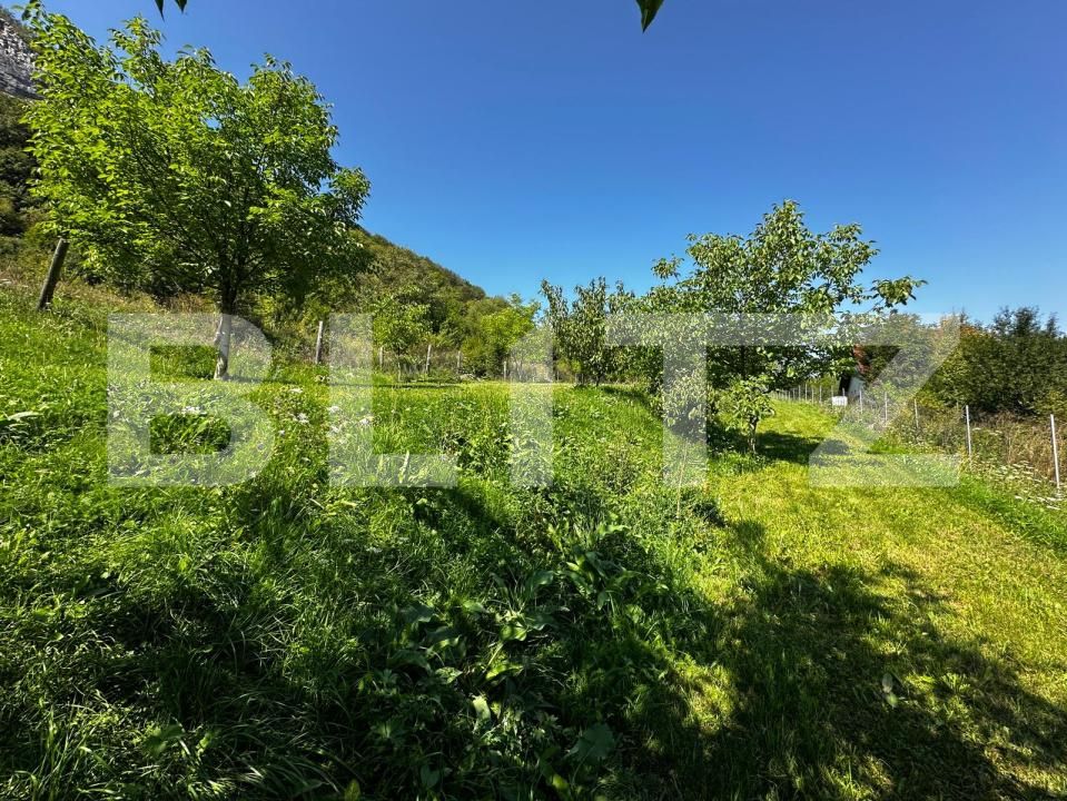 Teren de vânzare Valisoara - 175922TV | BLITZ Alba Iulia | Poza6