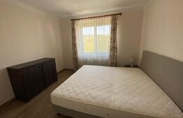 Apartament 3 camere,65 mp patrati - zona Cetate 