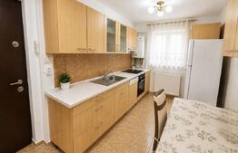Apartament 2 camere, mobilat si utilat, etaj 1, strada Closca